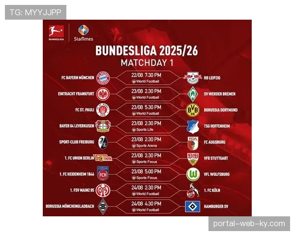 多特蒙德3-0完胜不莱梅 积36分稳居积分榜次席